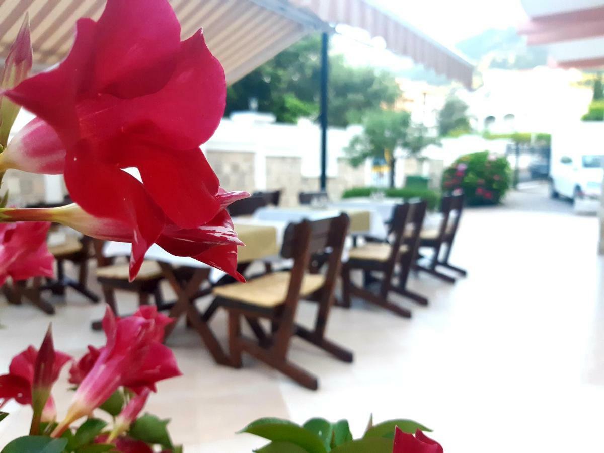 Garni Hotel Koral Budva Buitenkant foto